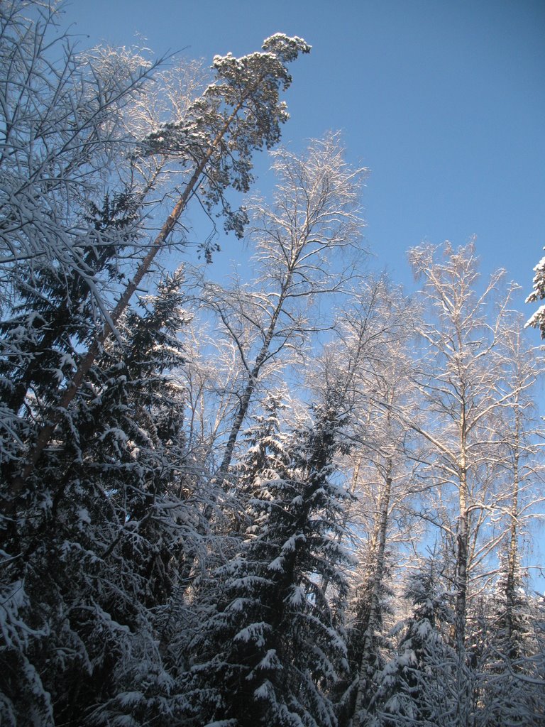 Русская сказка