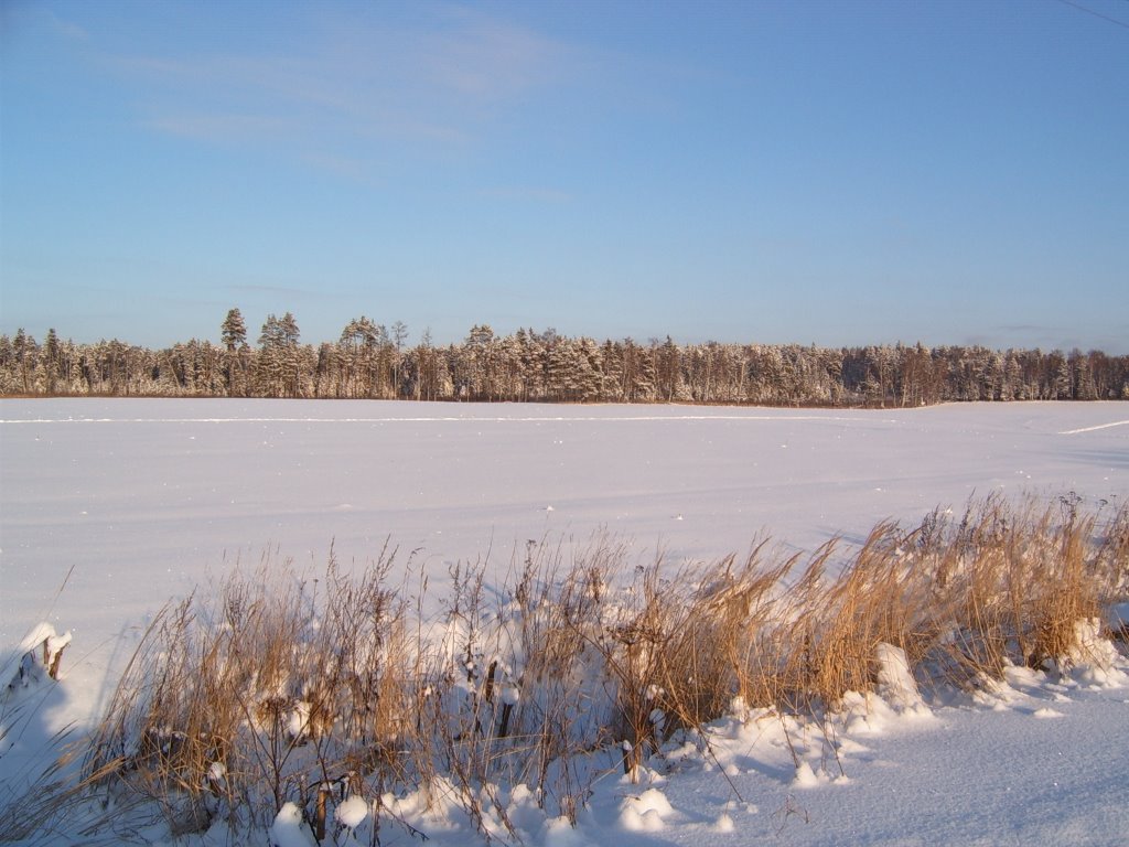 Зима в Барково