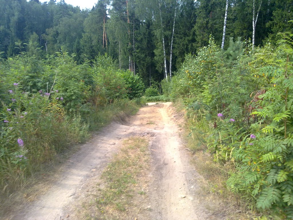 Начало крутого спуска