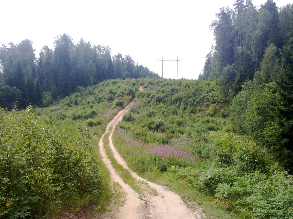 Каньон