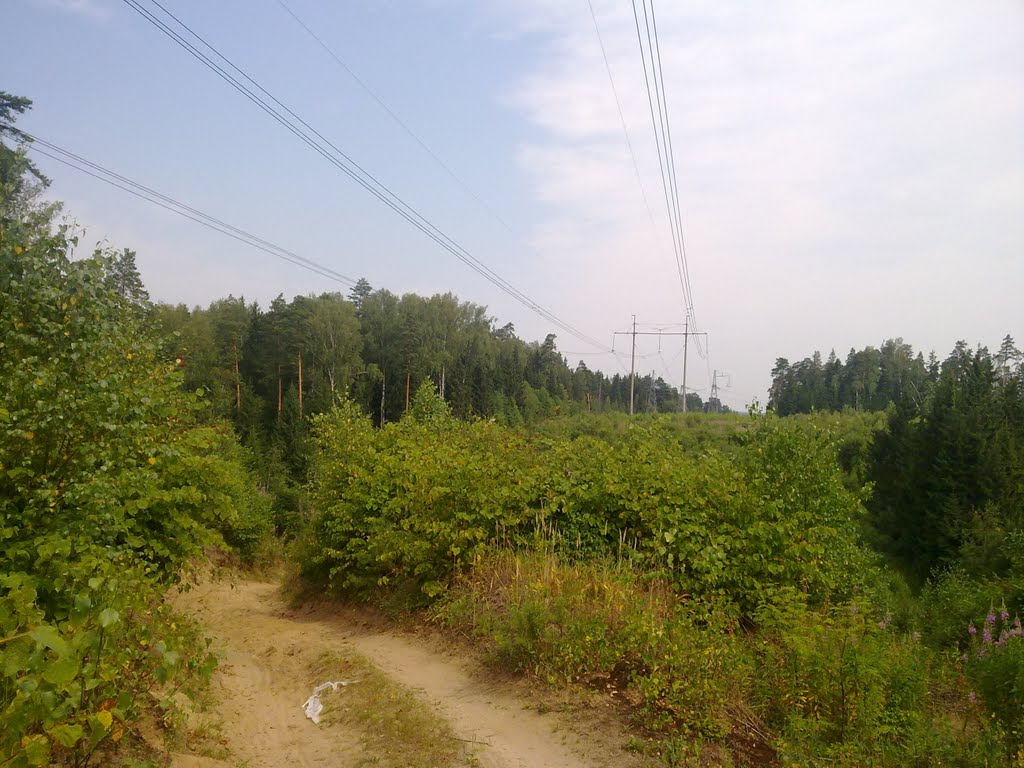Каньон