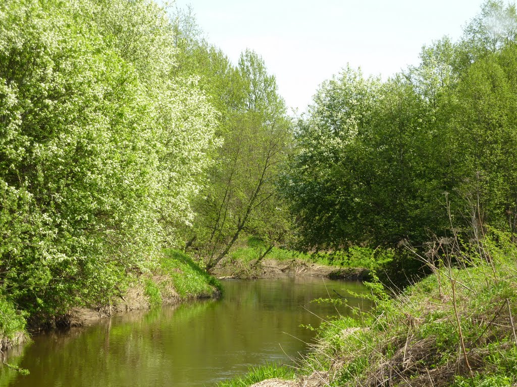 Речка Торгоша поздней весной