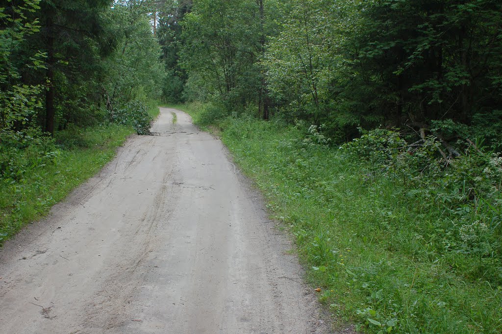 Серые Лесные