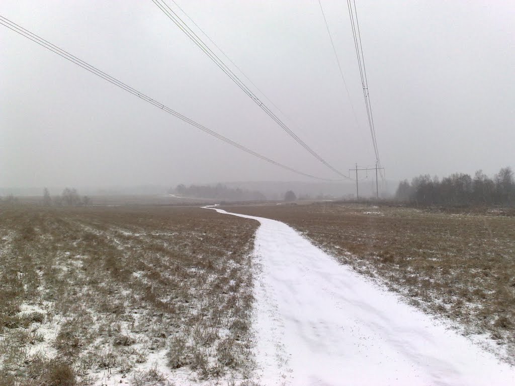 в районе Красноармейска