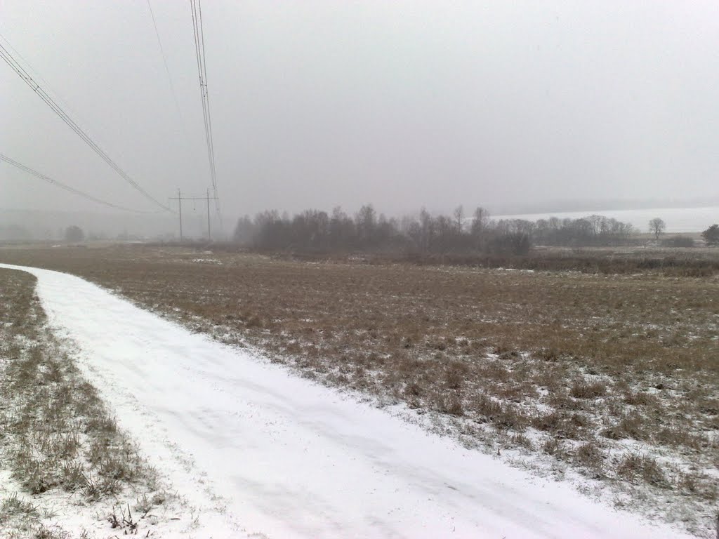 near Krasnoarmeysk
