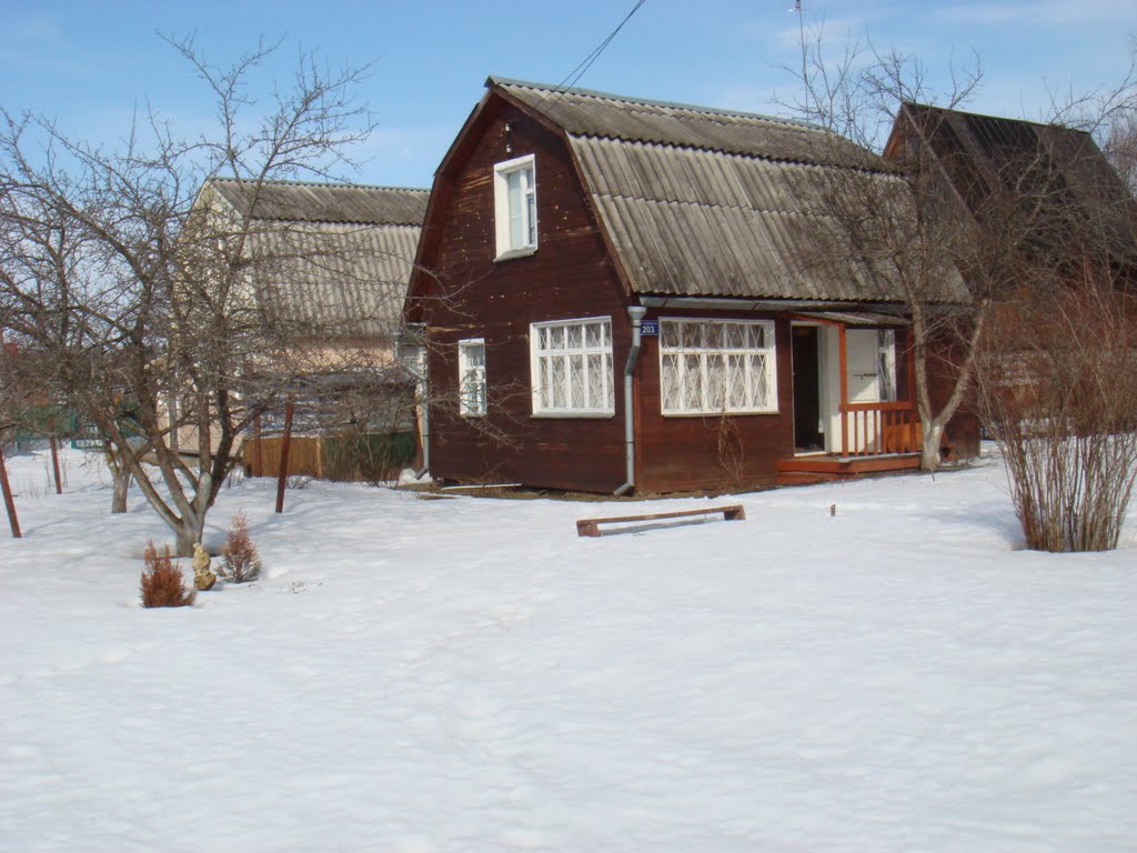 участок 203