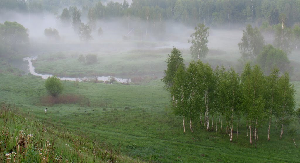 р.Каширка