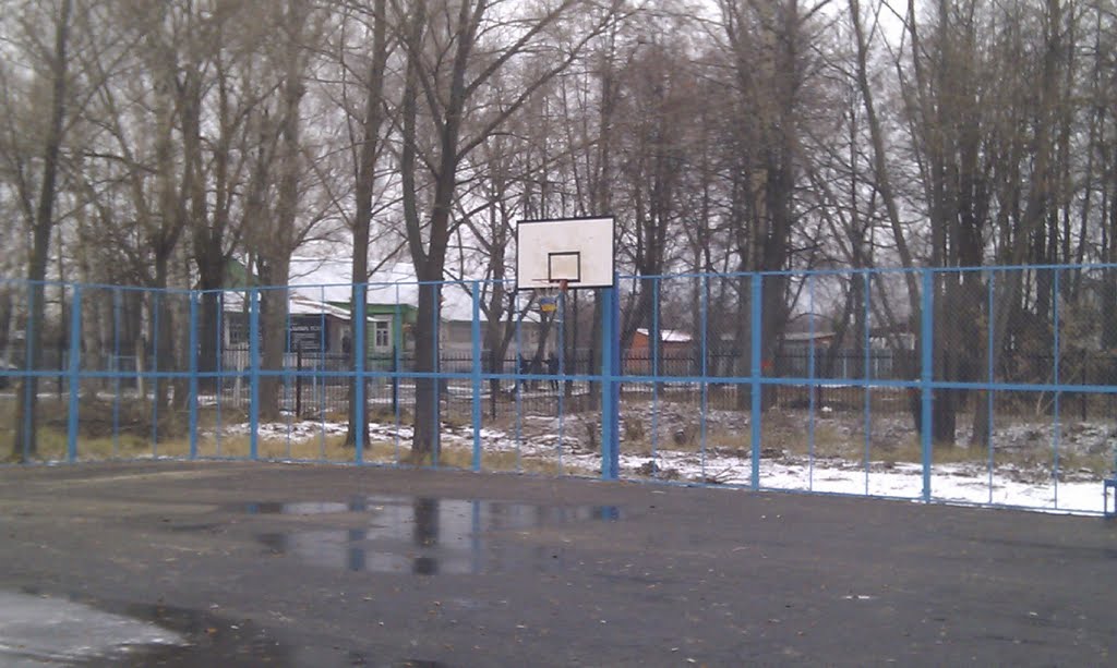 Баскетбольная площадка в Парке Культуры Михнево.