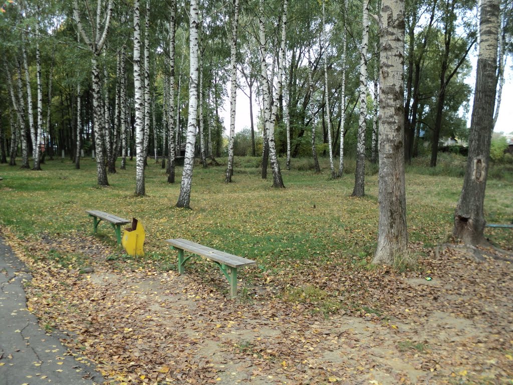Вид с аллеи.