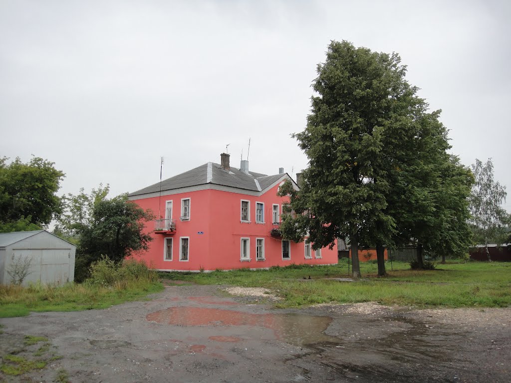 Красный дом foto-planeta.com
