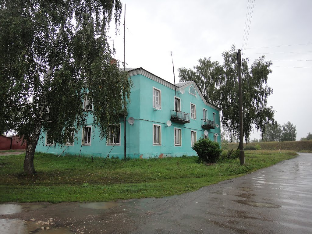 Синий дом foto-planeta.com