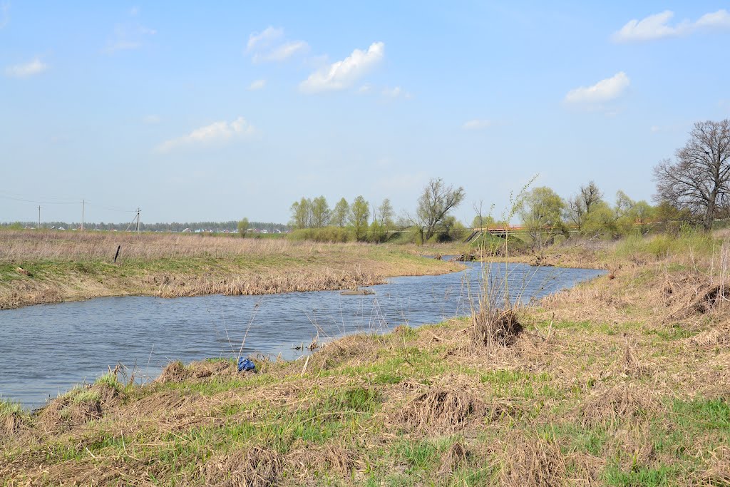 р.Каширка Липитино