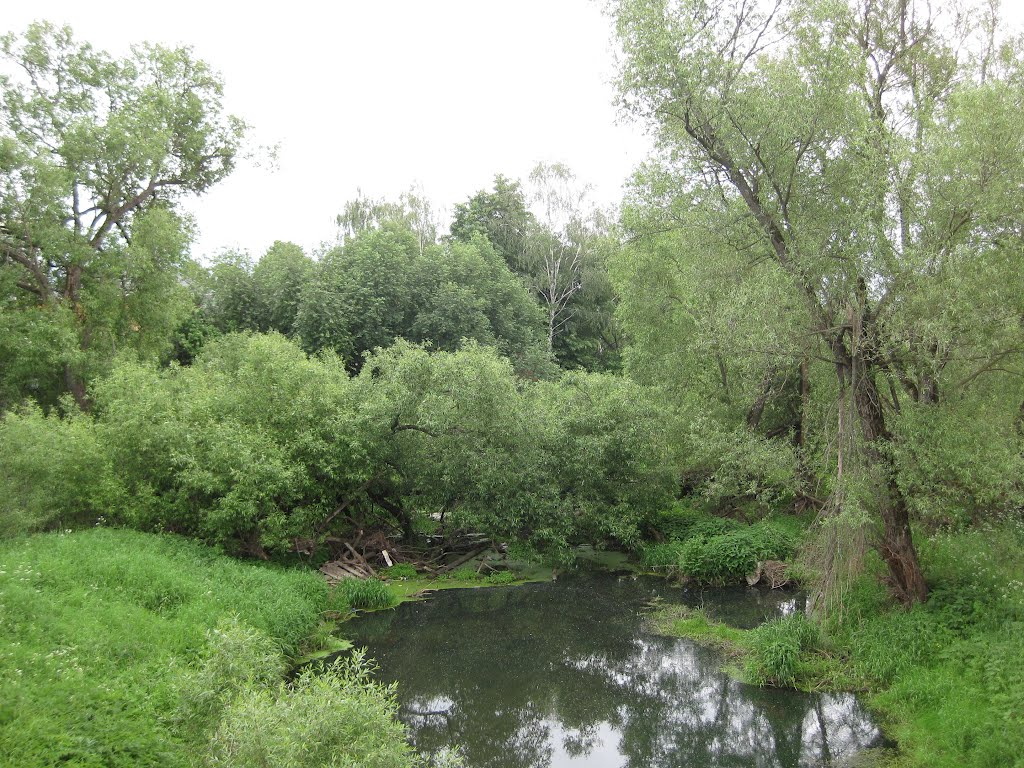 река Каширка