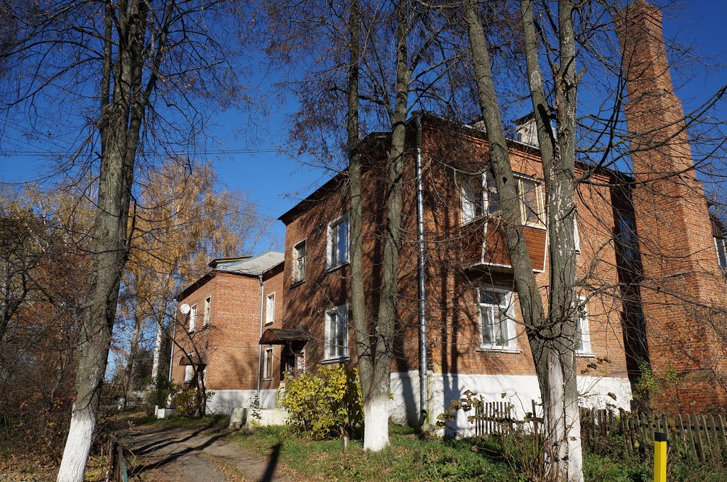 Михнево - foto-planeta.com