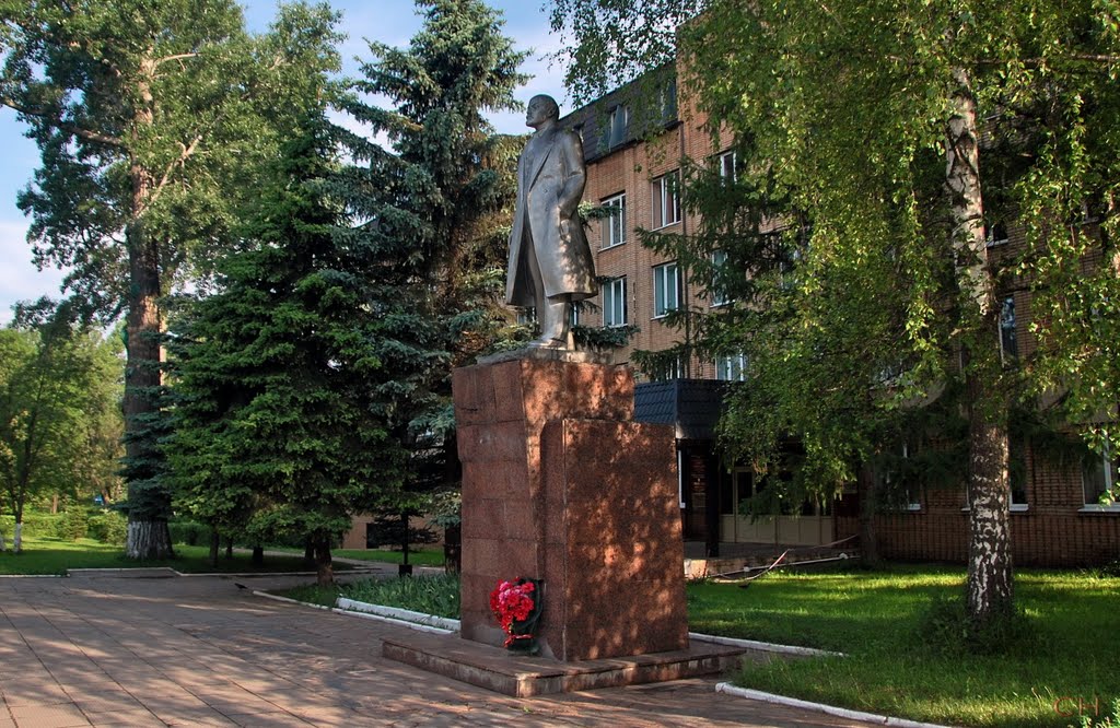 Можайск. Ленин