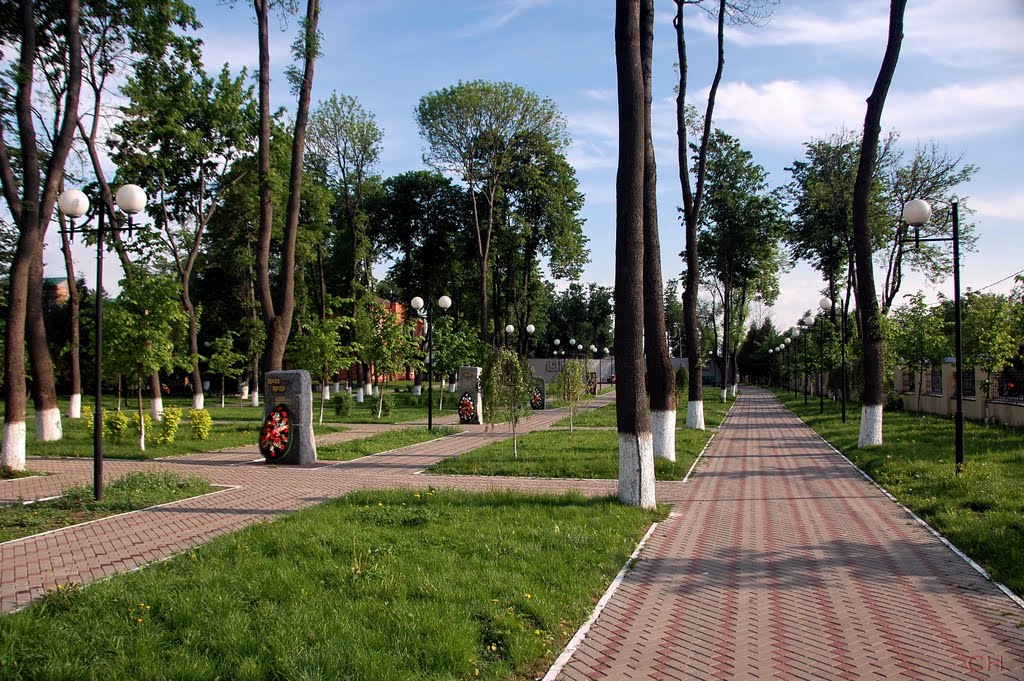 Можайск. Аллея