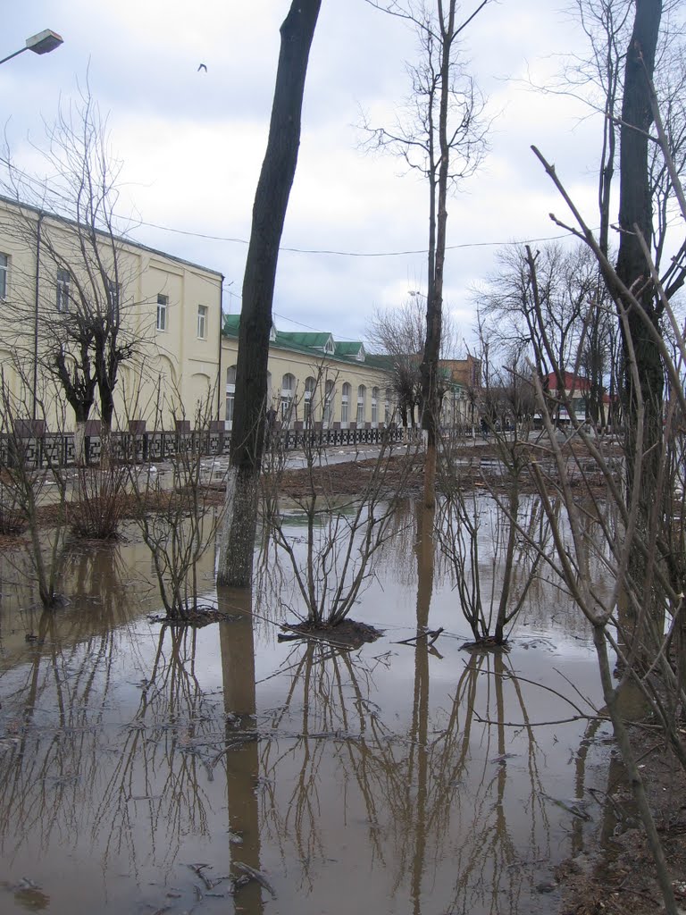 Потоп на Московской улице.
