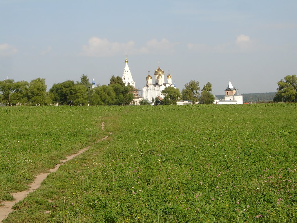 Лужецкий Рождества Богородицы Ферапонтов монастырь