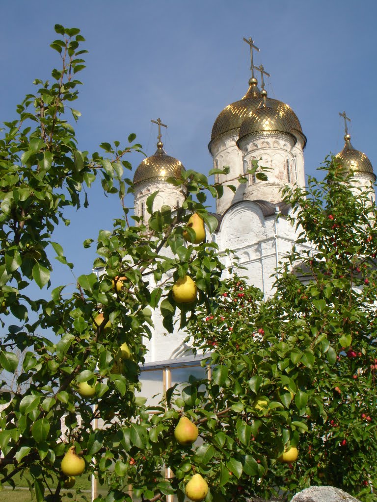 В монастырском саду