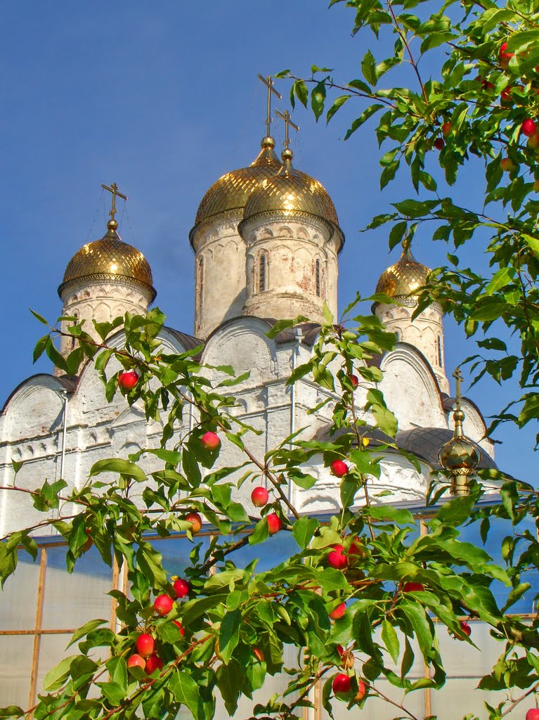 Райские яблочки