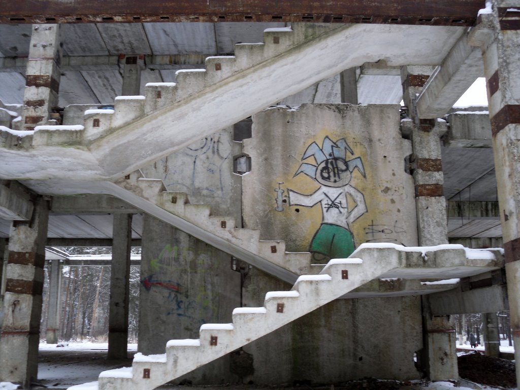 Unfinished building at Monino