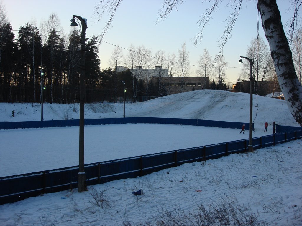 Знаменитая горка , хоккейная коробочка
