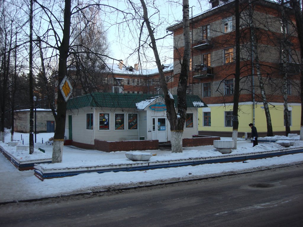 Центральный Минимаркет(01.01.2009)