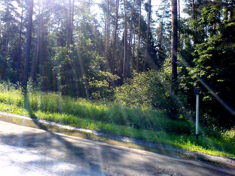 Горьковское ш.