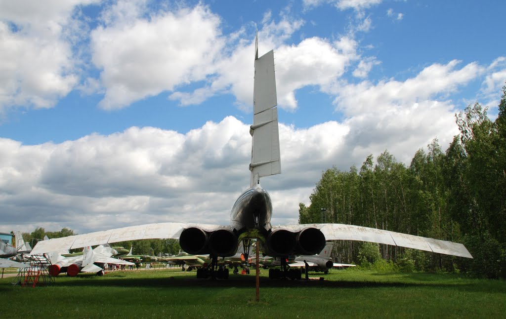 Ту-144 (вид сзади)