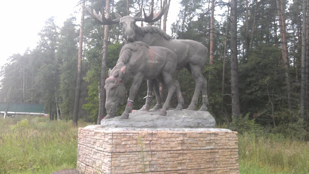 Лось с лосихой на Горьковском шоссе