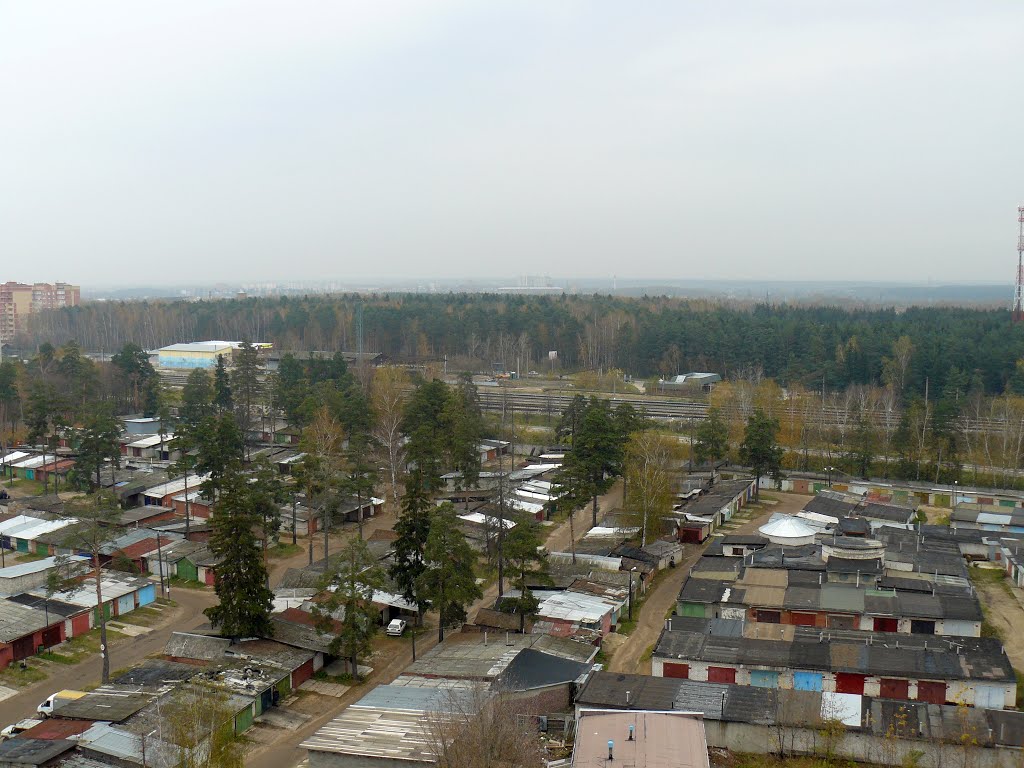 Монино
