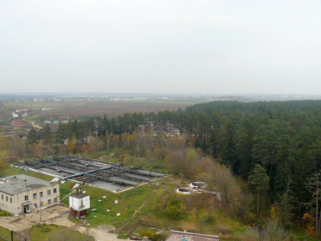 Монино