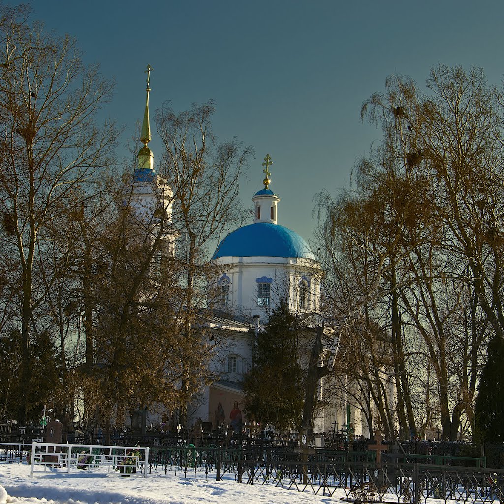 Христорождественская церковь в Михалево