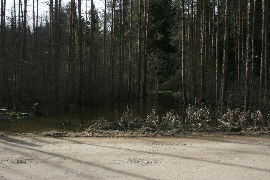 Болото