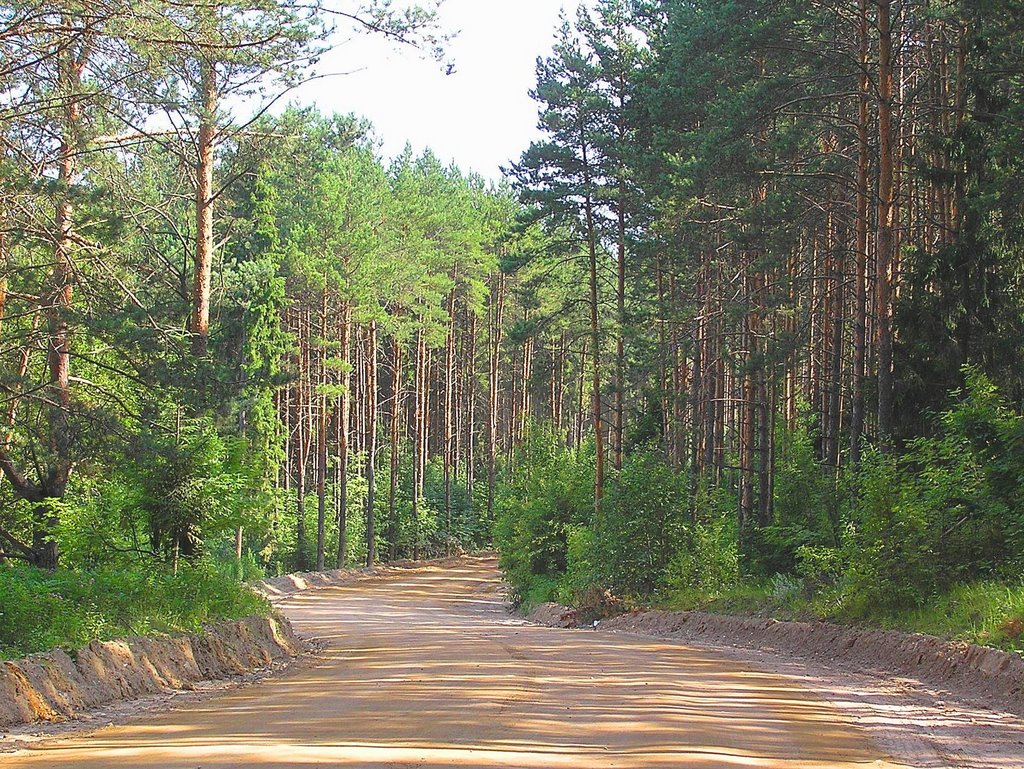 Дорога в Муханово