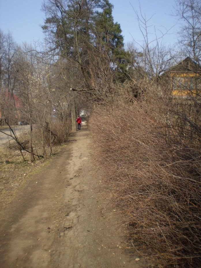 Дорожка