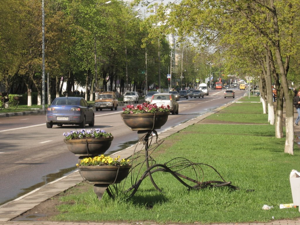 Новомытищинский проспект