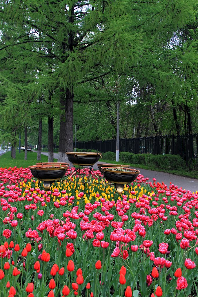 Возле парка