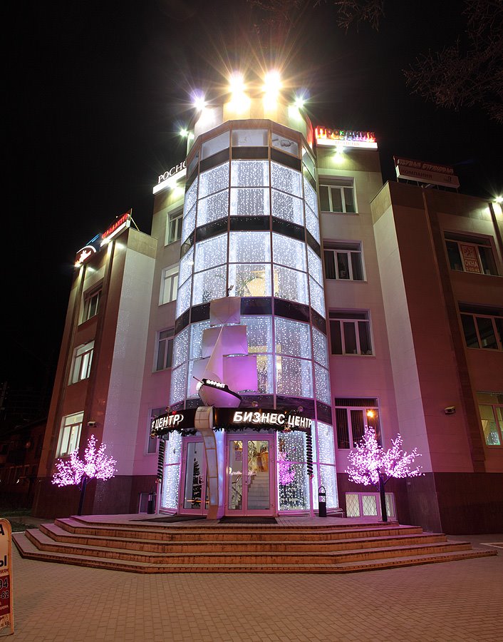 Бизнес центр (2008)