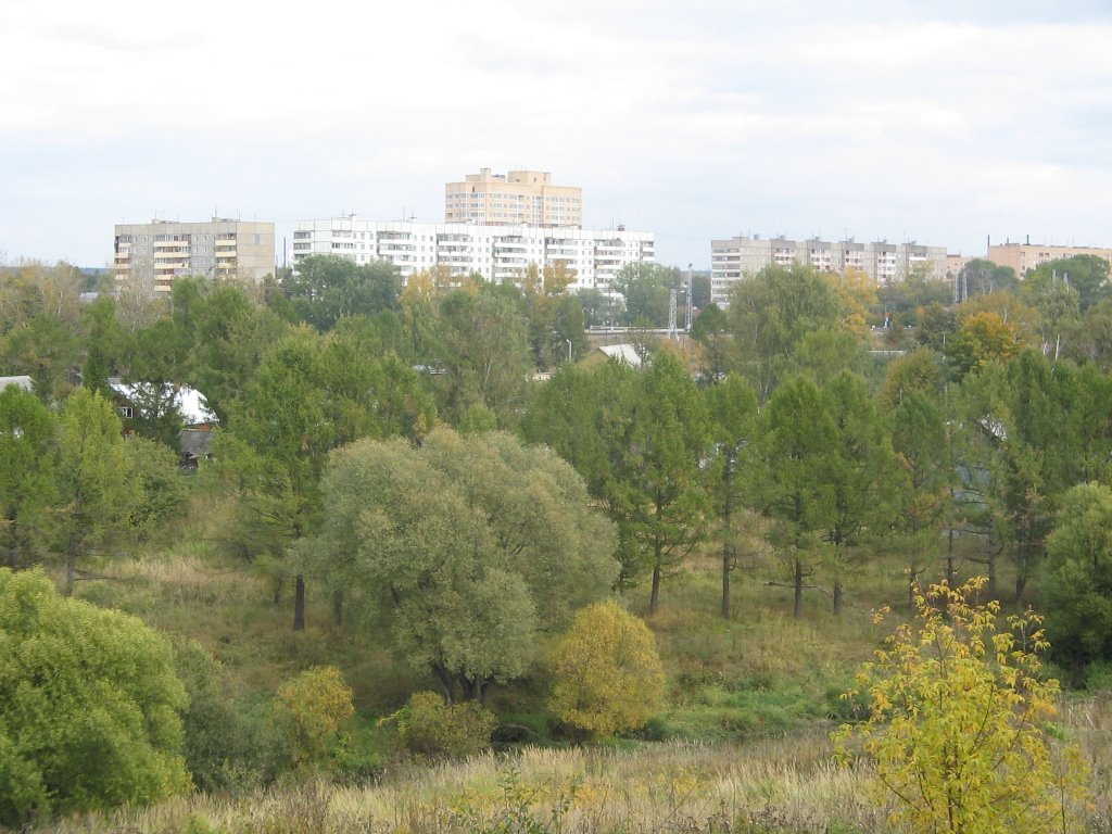 Вид с холма на Профсоюзной улице (на север) / View from a Hill in Profsoyuznaja Street (on North)