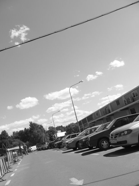 Market area