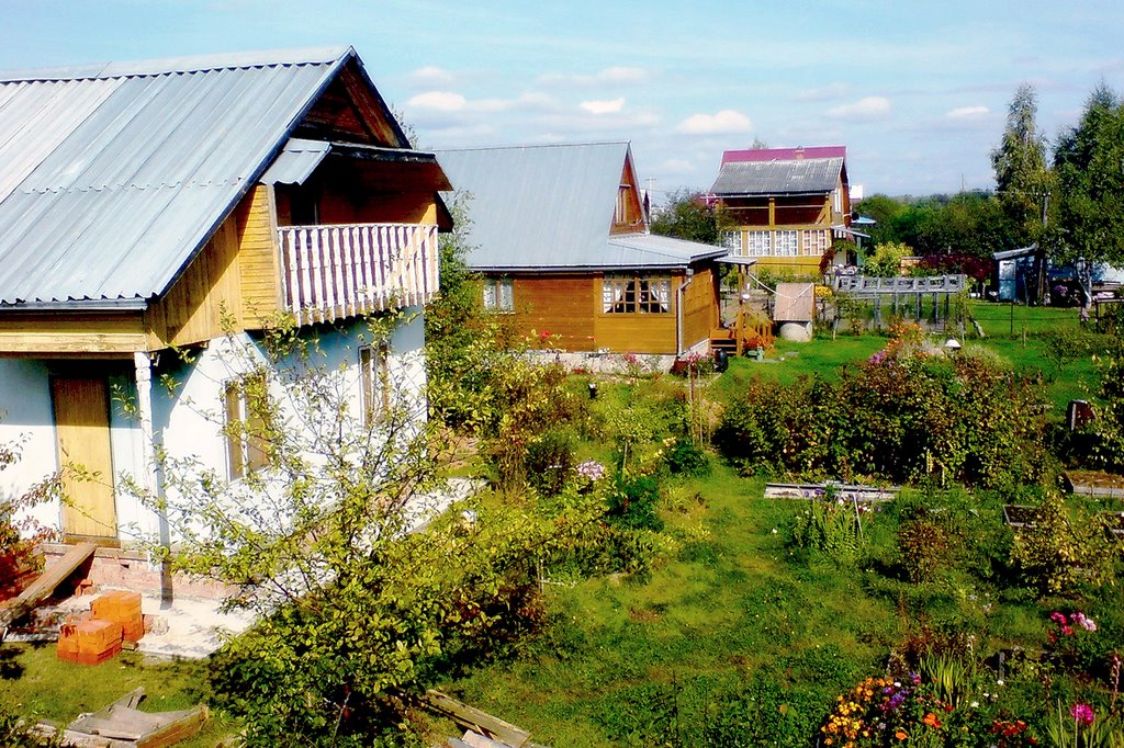 С/т "Лужки"