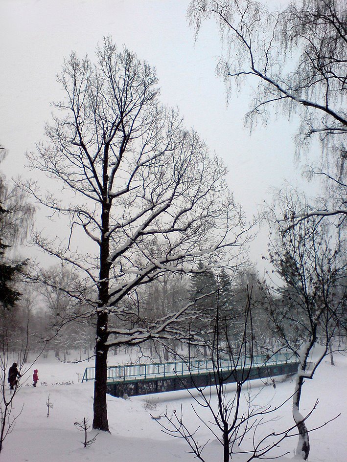 Мост через пруд