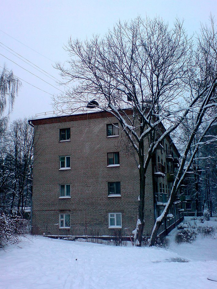 Парковая, Дом 13