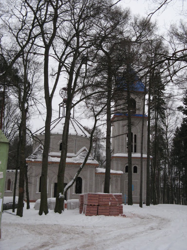 Строящийся храм святого Даниила Московского / Temple of St. Daniel of Moscow Being Built
