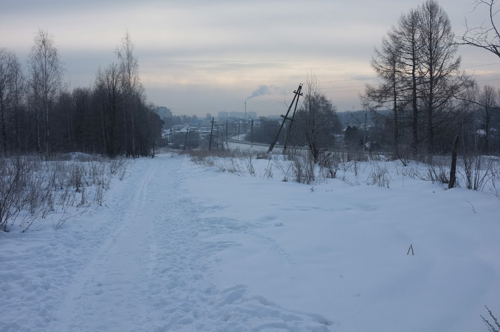 Нахабино. Вид от Малиновки. Nakhabino. View from the Malinovka (Robins).