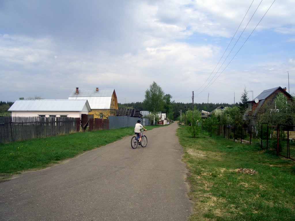 в деревне