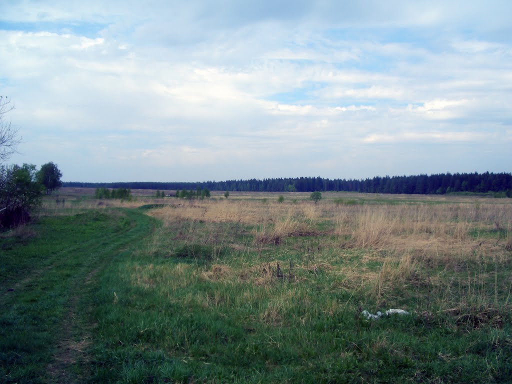 просторы