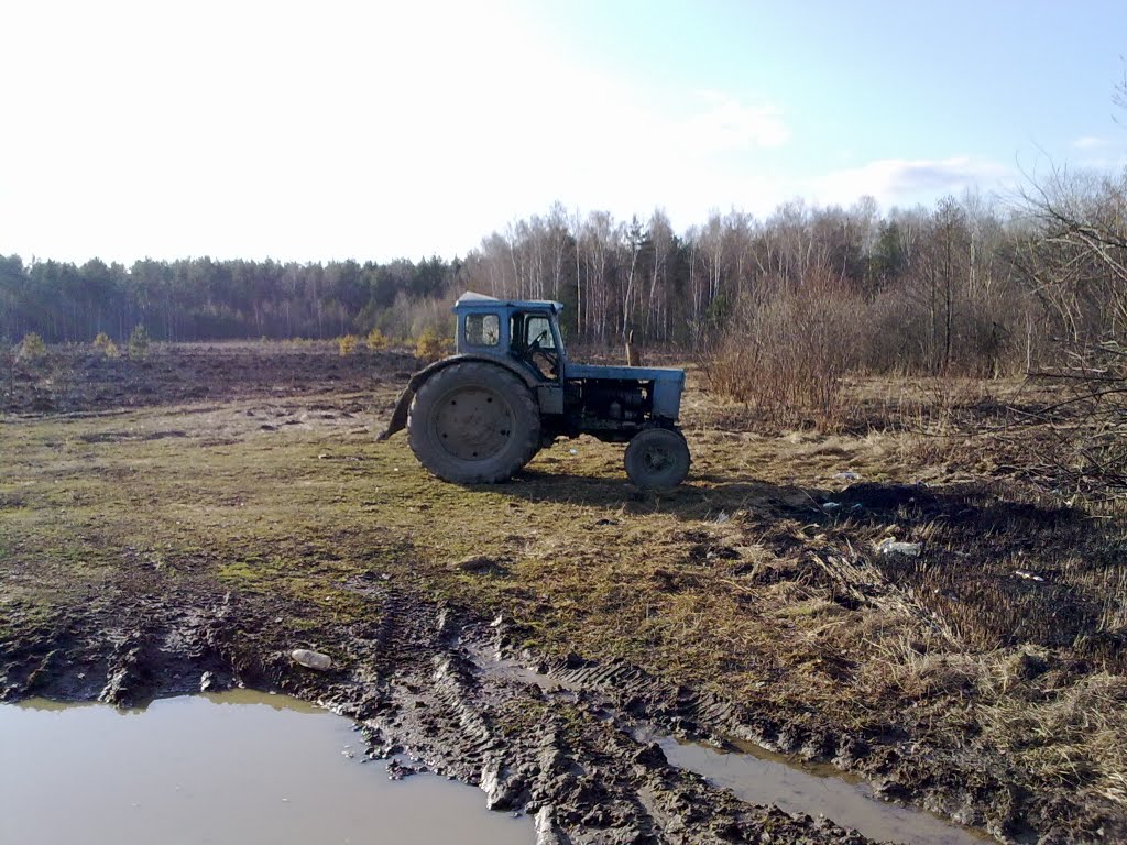 трактор "беларусь"