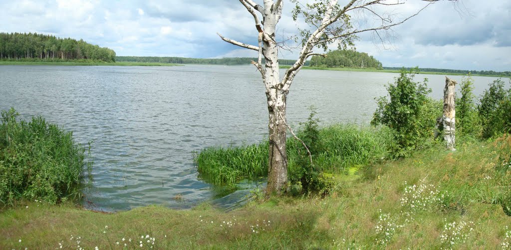пейзаж